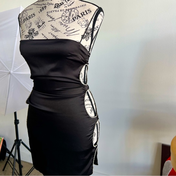 The perfect mini dress for summer/spring time! You’ll be sure to make heads turn - Picture 5 of 6